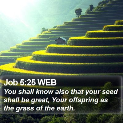 Job 5:25 WEB Bible Verse Image