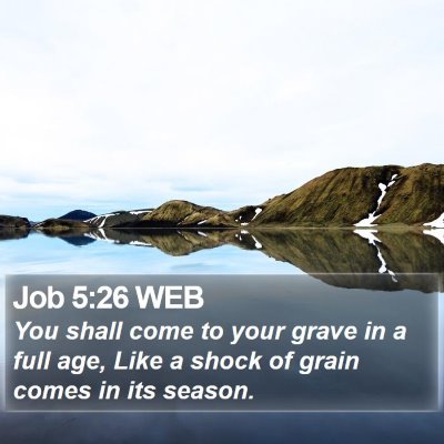 Job 5:26 WEB Bible Verse Image