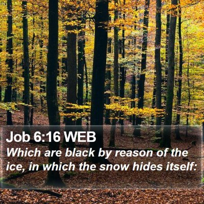 Job 6:16 WEB Bible Verse Image