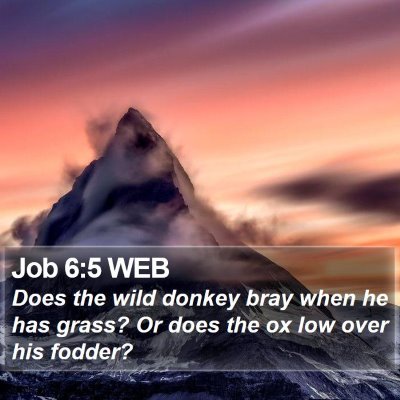 Job 6:5 WEB Bible Verse Image