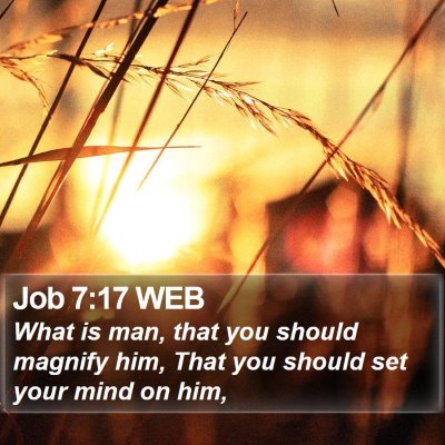 Job 7:17 WEB Bible Verse Image