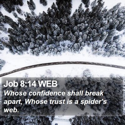 Job 8:14 WEB Bible Verse Image