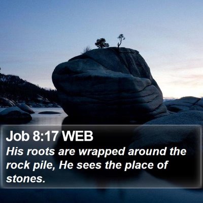 Job 8:17 WEB Bible Verse Image