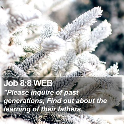 Job 8:8 WEB Bible Verse Image