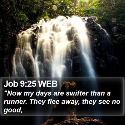 Job 9:25 WEB Bible Verse Image