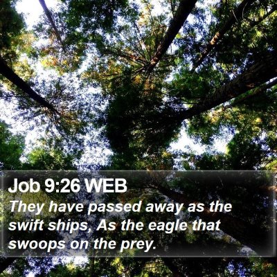 Job 9:26 WEB Bible Verse Image