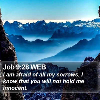 Job 9:28 WEB Bible Verse Image