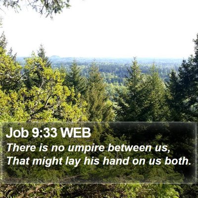 Job 9:33 WEB Bible Verse Image