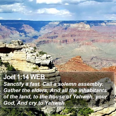 Joel 1:14 WEB Bible Verse Image