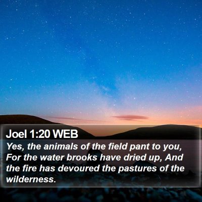 Joel 1:20 WEB Bible Verse Image