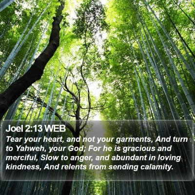 Joel 2:13 WEB Bible Verse Image