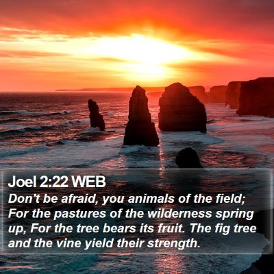 Joel 2:22 WEB Bible Verse Image