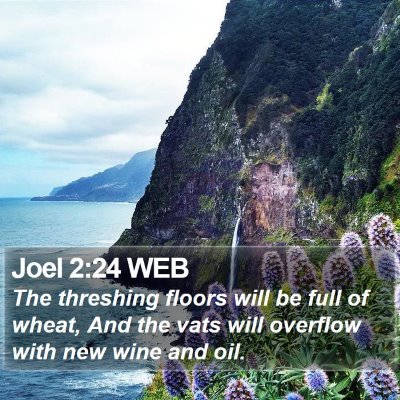 Joel 2:24 WEB Bible Verse Image