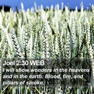 Joel 2:30 WEB Bible Verse Image