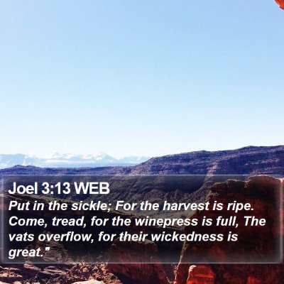 Joel 3:13 WEB Bible Verse Image