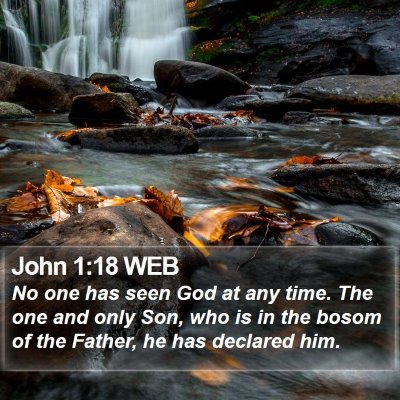 John 1:18 WEB Bible Verse Image