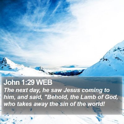 John 1:29 WEB Bible Verse Image