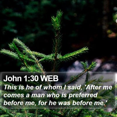 John 1:30 WEB Bible Verse Image