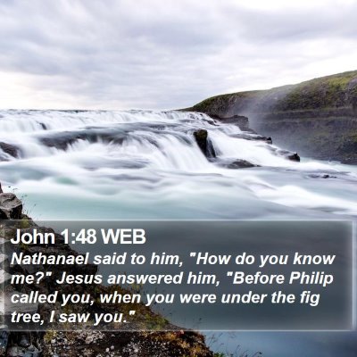 John 1:48 WEB Bible Verse Image