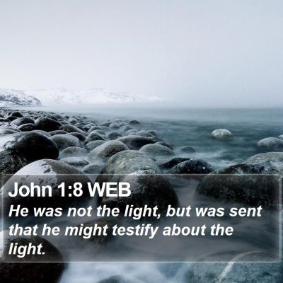 John 1:8 WEB Bible Verse Image