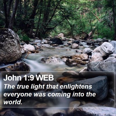 John 1:9 WEB Bible Verse Image
