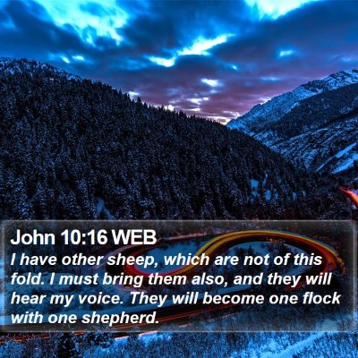 John 10:16 WEB Bible Verse Image