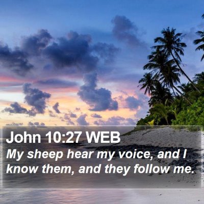 John 10:27 WEB Bible Verse Image