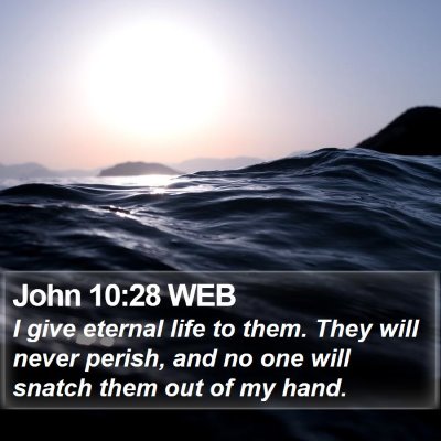 John 10:28 WEB Bible Verse Image