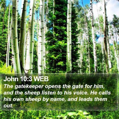 John 10:3 WEB Bible Verse Image