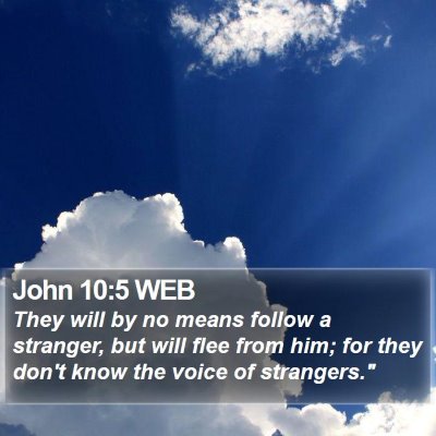 John 10:5 WEB Bible Verse Image