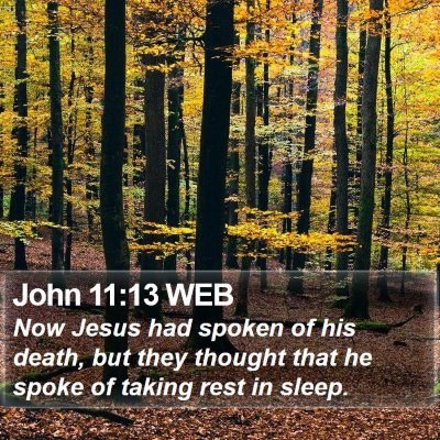 John 11:13 WEB Bible Verse Image