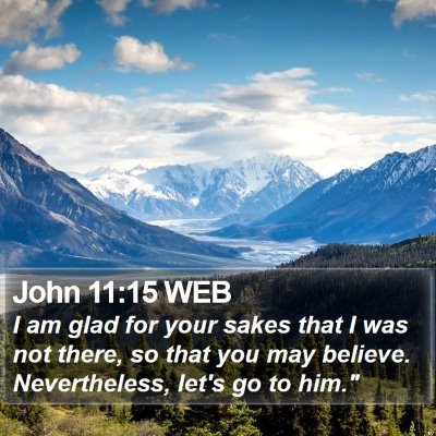 John 11:15 WEB Bible Verse Image