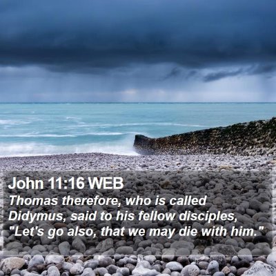 John 11:16 WEB Bible Verse Image