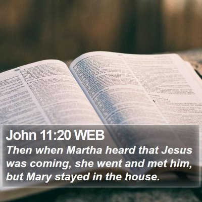 John 11:20 WEB Bible Verse Image