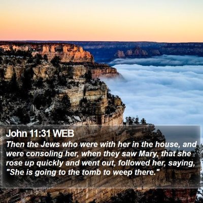 John 11:31 WEB Bible Verse Image