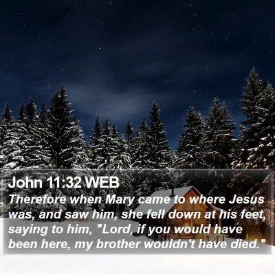 John 11:32 WEB Bible Verse Image
