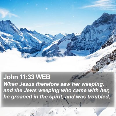 John 11:33 WEB Bible Verse Image
