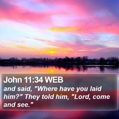 John 11:34 WEB Bible Verse Image