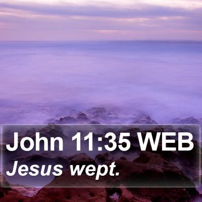 John 11:35 WEB Bible Verse Image