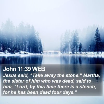 John 11:39 WEB Bible Verse Image