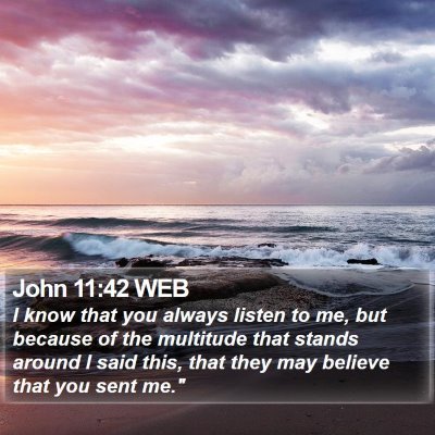 John 11:42 WEB Bible Verse Image
