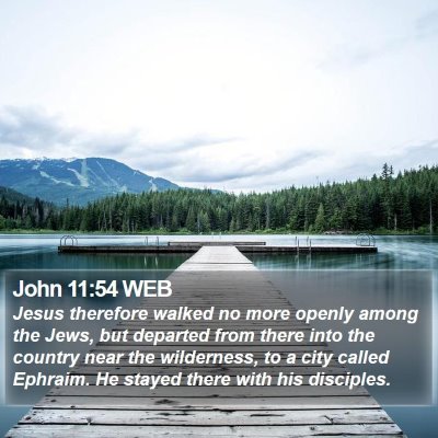 John 11:54 WEB Bible Verse Image