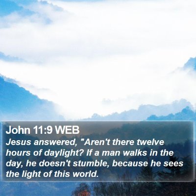 John 11:9 WEB Bible Verse Image