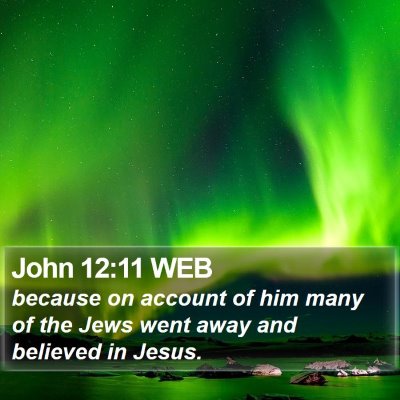 John 12:11 WEB Bible Verse Image
