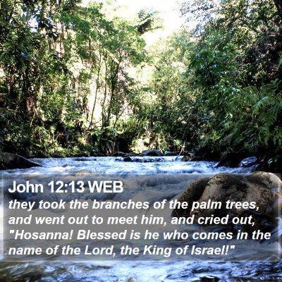 John 12:13 WEB Bible Verse Image