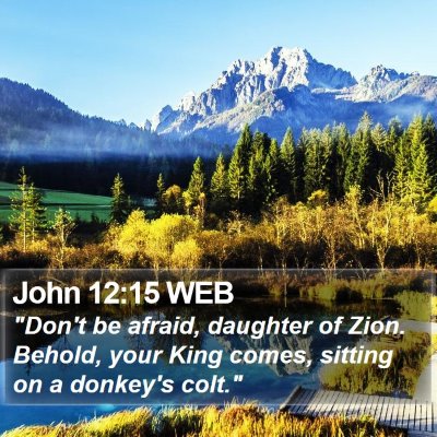 John 12:15 WEB Bible Verse Image