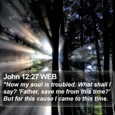 John 12:27 WEB Bible Verse Image