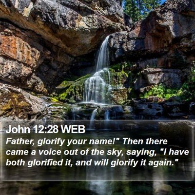 John 12:28 WEB Bible Verse Image