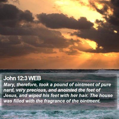 John 12:3 WEB Bible Verse Image