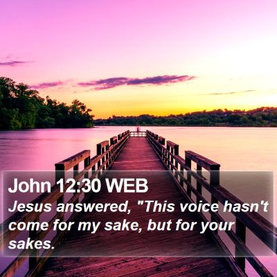 John 12:30 WEB Bible Verse Image